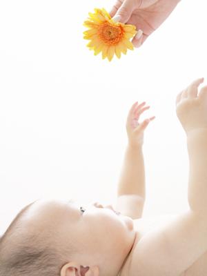 二子玉川での七五三写真撮影ガイド｜思い出に残る特別な一日を美しく演出する方法